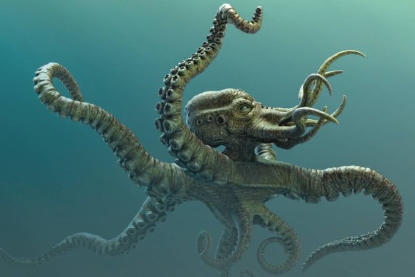 Зеркало kraken krakens16