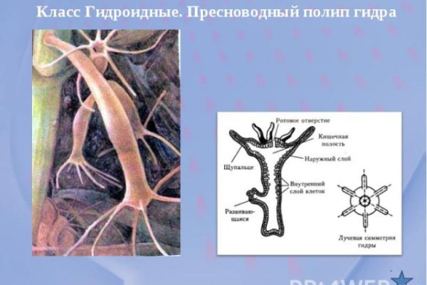 Кракен продает наркотики